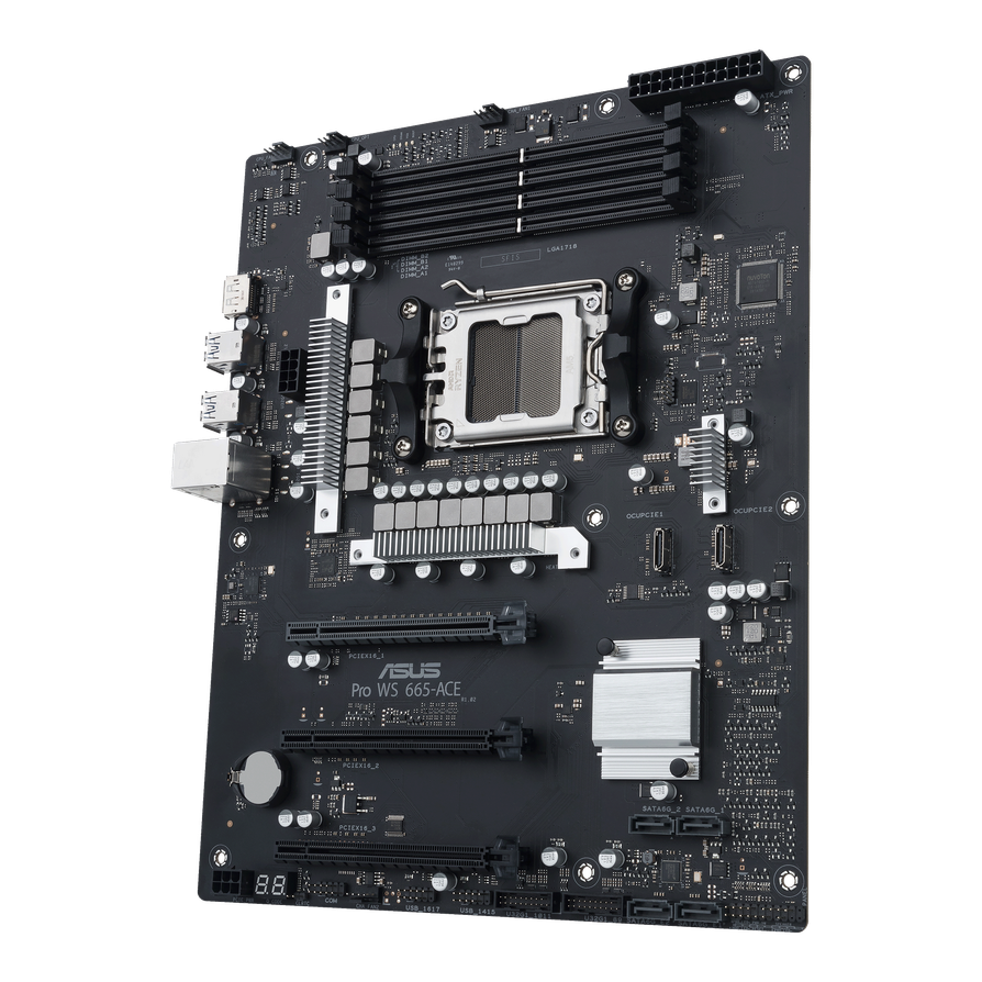 ASUS Pro WS 665-ACE